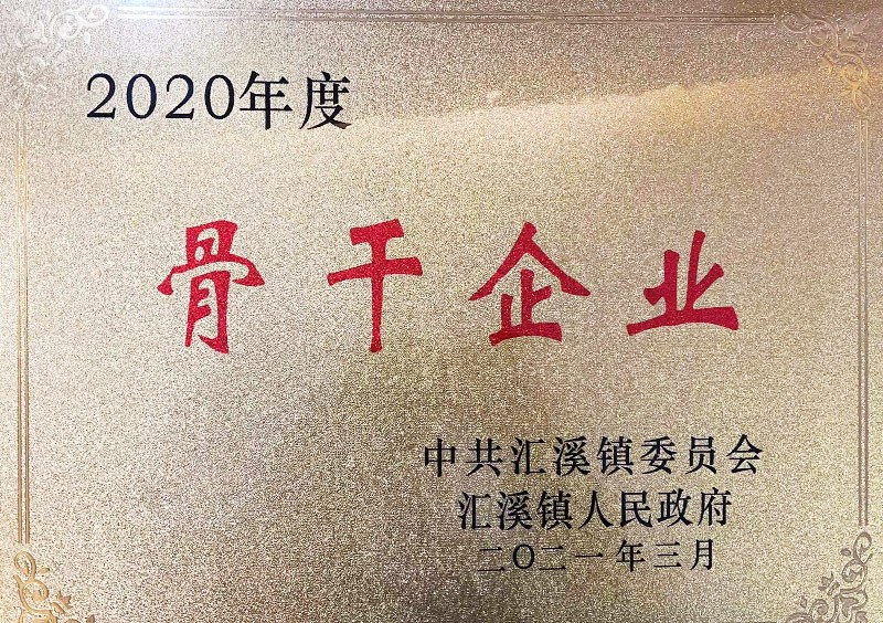 2020年度骨干企業