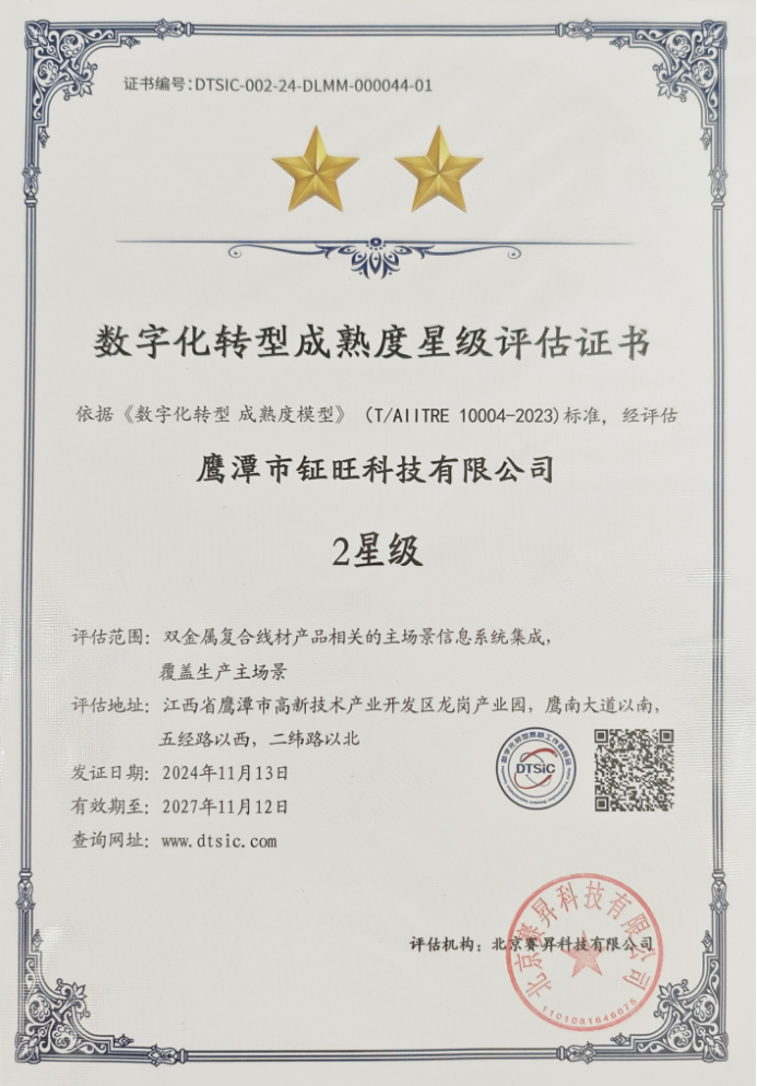 數字化轉型成熟度2星級證書