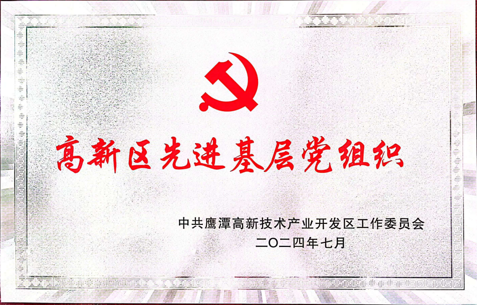 高新區先進基層黨組織